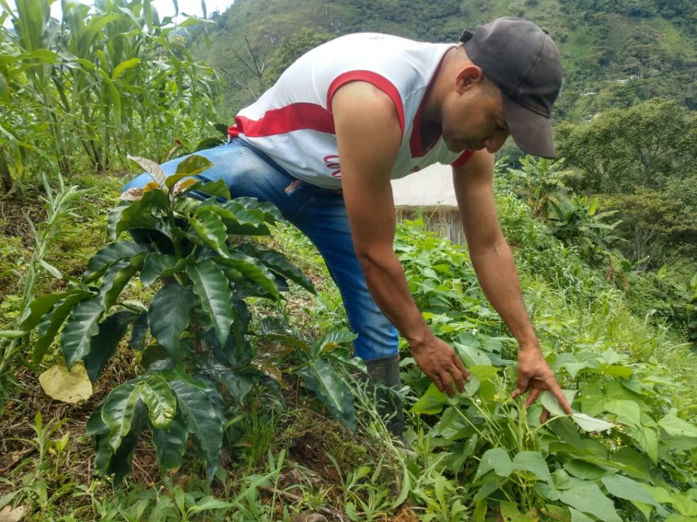 Derechos Del Campesinado Alianza Por La Agrobiodiversidad Derechos Del Campesinado Alianza Por La Agrobiodiversidad